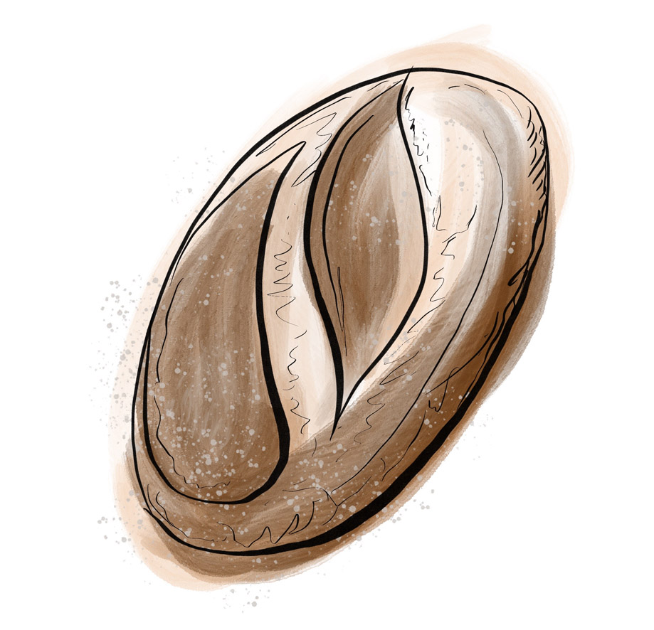 Illustration of a Sour dough loaf of bread